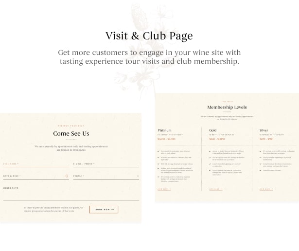 Bodoni - Wine Shop & Vineyard WordPress Theme 