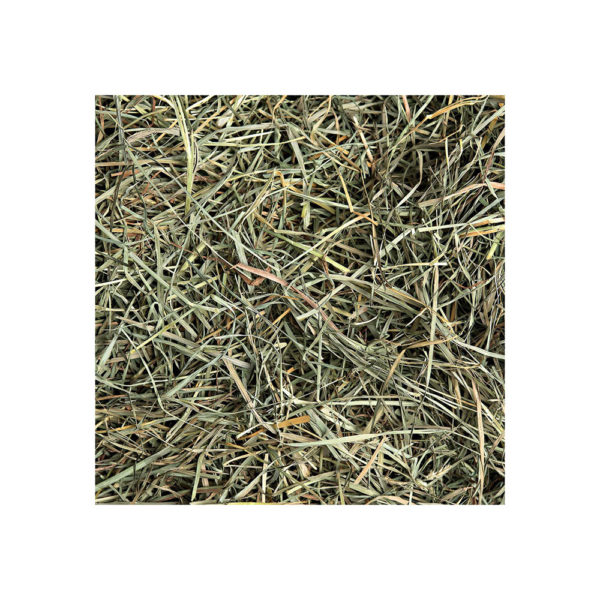 Small Pet Select Orchard Grass Hay Pet Food - Image 3