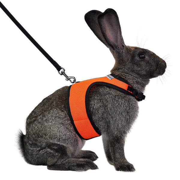 Niteangel Adjustable Soft Harness with Elastic Leash for Rabbits