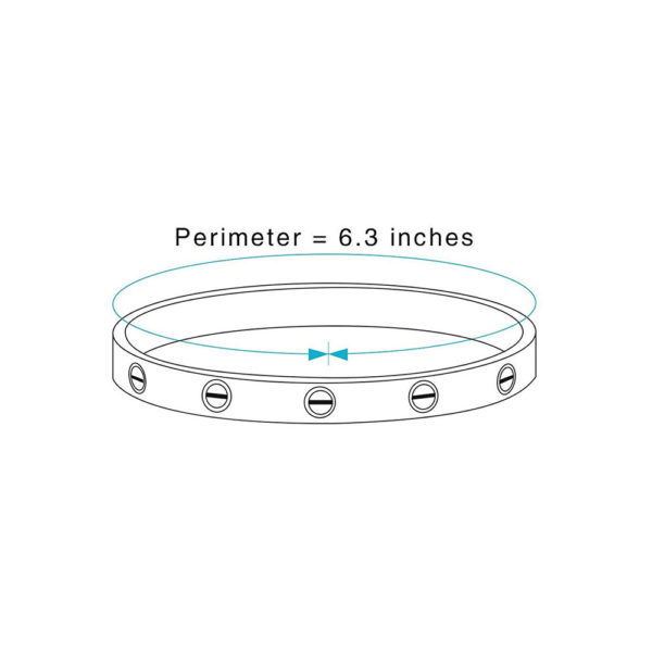 CC Love Bracelet Jewelry Bangle for Women and Men with Screwdriver - Image 3