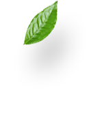 Smartic